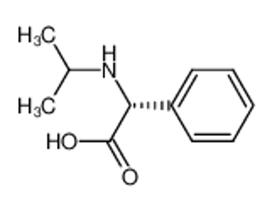 Picture of N-isopropyl (R)-phenylglycine