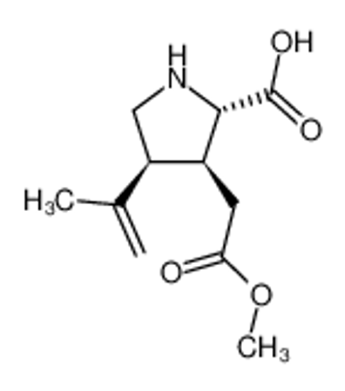Изображение (2S)-4t-isopropenyl-3t-methoxycarbonylmethyl-pyrrolidine-2r-carboxylic acid