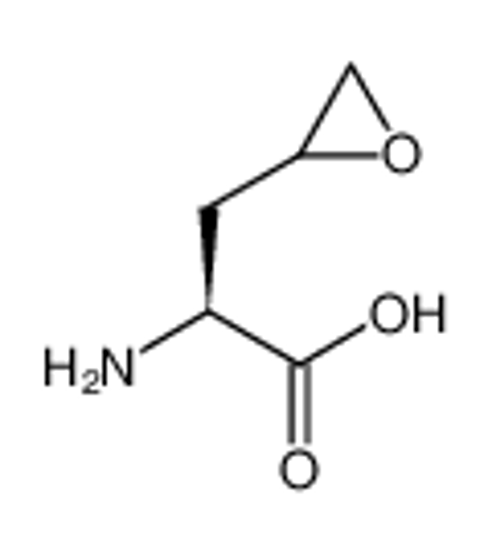 Imagem de (2R)-2-amino-3-(2-oxiranyl)propionic acid