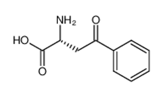 Imagem de (2R)-2-Amino-4-oxo-4-phenylbutyric acid