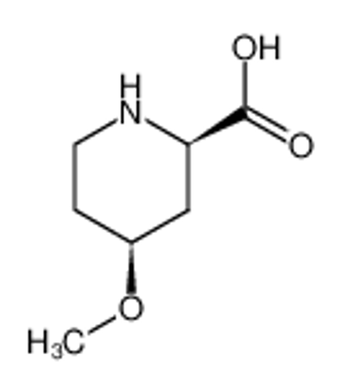 Picture of (2R,4S)-4-methoxypiperidine-2-carboxylic acid