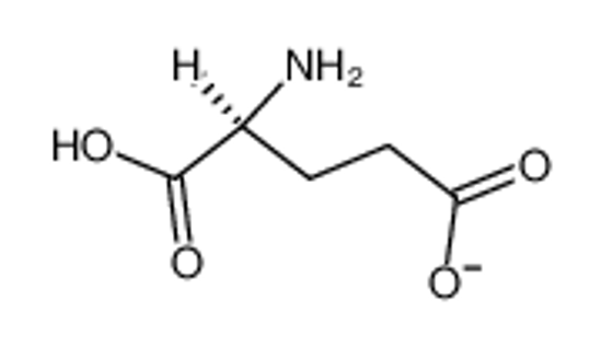 Picture of glutamate ion