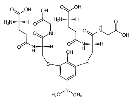 Изображение 4-(dimethylamino)-2,6-bis(glutathion-S-yl)phenol