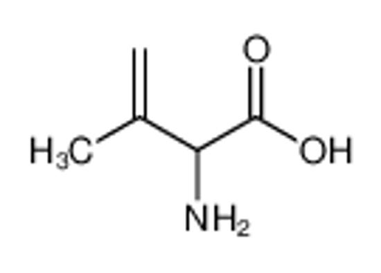 Picture of 2-Amino-3-methyl-3-butencarbonsaeure