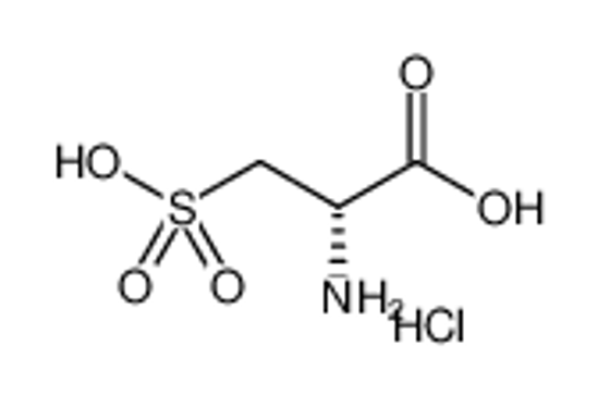 Picture of D-cysteic acid hydrochloride