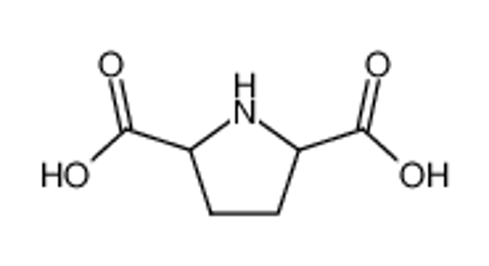 Picture of acido pirrolidin-2,5-dicarbossilico