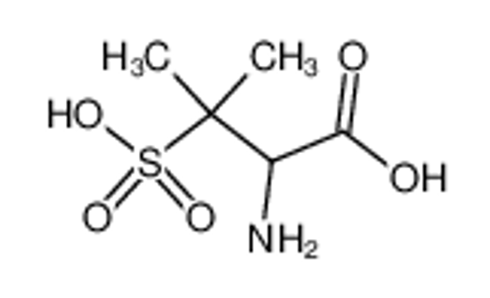 Picture of α-amino-β-sulfo-isovaleric acid