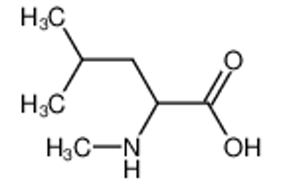 Picture of Cα-methylleucine