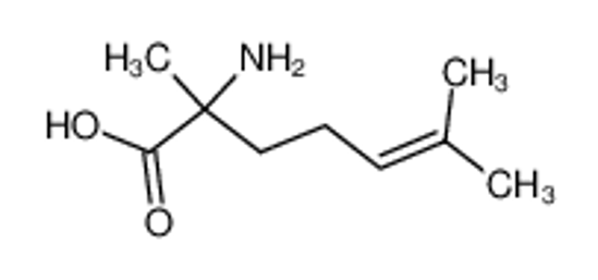 Picture of (+/-)-2,6-Dimethyl-2-amino-hepten-5-saeure