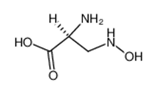 Picture of L-2-Amino-3-hydroxylamino-propionsaeure