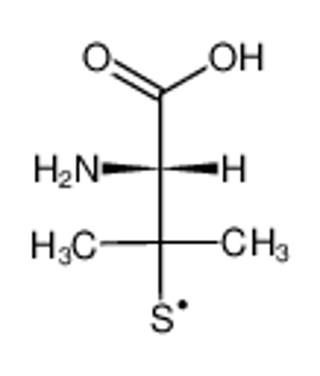 Picture of Penicillamine thiyl radical