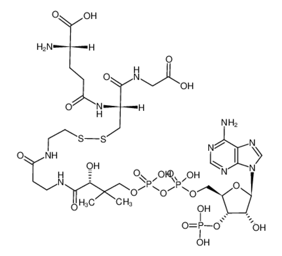 Picture of CoA-glutathione