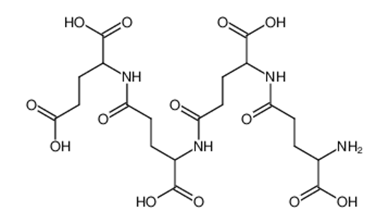 Picture of γ-Tetraglutaminsaeure