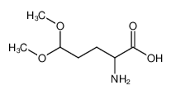 Imagem de DL-γ-glutamaldehydic acid dimethyl acetal