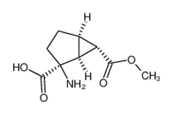 Picture of (1S,2S,5R,6S)-2-amino-6-(methoxycarbonyl)bicyclo[3.1.0]hexane-2-carboxylic acid