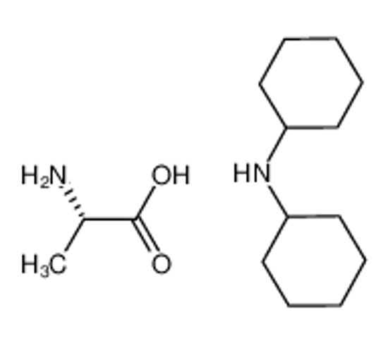 Picture of L-alanine dicyclohexylamine salt
