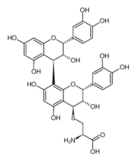 Picture of 4β-(S-L-cysteinyl)-(-)-epicatechin-(4β->8)-(-)-epicatechin