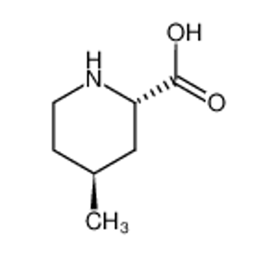 Picture of (2S,4S)-4-methyl pipecolic acid