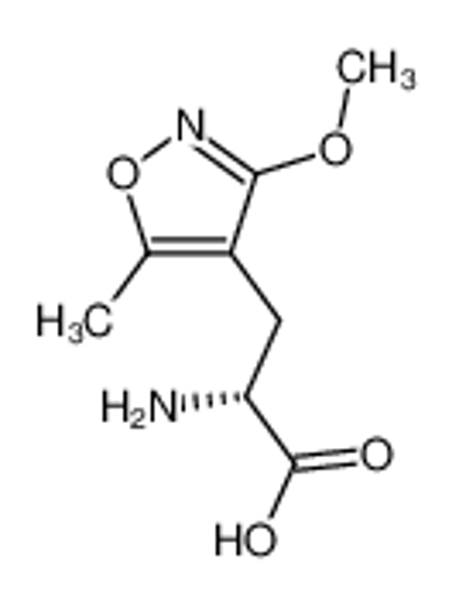 Изображение (R)-2-amino-3-(3-methoxy-5-methylisoxazol-4-yl)propanoic acid