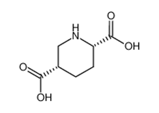 Изображение (+/-)-cis-2,5-piperidinedicarboxylic acid