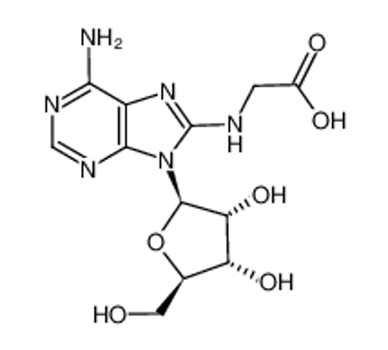 Imagem de [6-amino-9-((2R,3R,4S,5R)-3,4-dihydroxy-5-hydroxymethyl-tetrahydrofuran-2-yl)-9H-purin-8-ylamino]-acetic acid