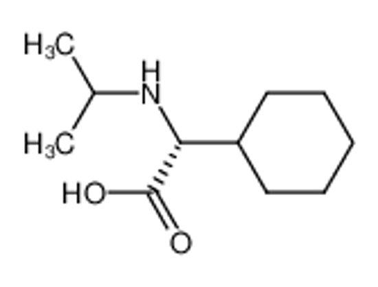 Picture of (R)-N-isopropylcyclohexylglycine
