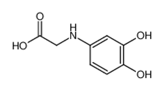 Picture of DL-3,4-dihydroxyphenylglycine