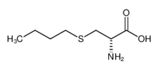 Picture of D-Cysteine, S-butyl-