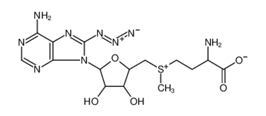 Picture of Adenosine, 5'-[(3-amino-3-carboxypropyl)methylsulfonio]-8-azido-5'-deoxy-, inner salt, (S)-