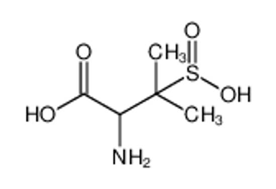 Изображение Valine, 3-sulfino-