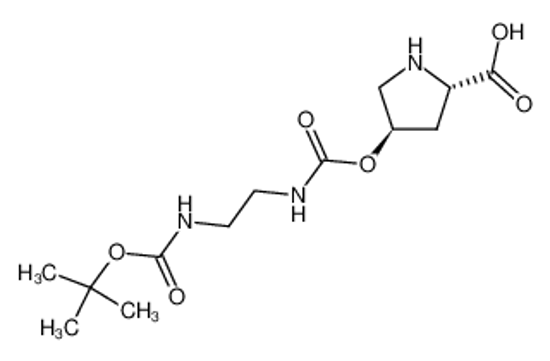 Imagem de H-(2S,4R)-(4-OCO-NH-CH2-CH2-NH-Boc)-Pro-OH