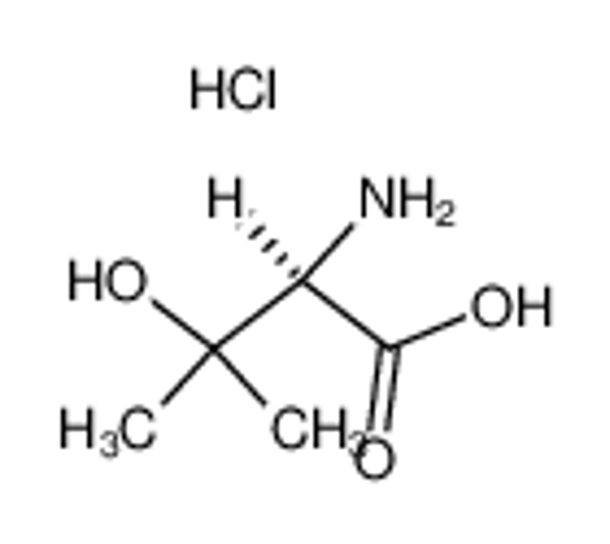 Picture of (R)-(-)-β-Hydroxyvaline hydrochloride