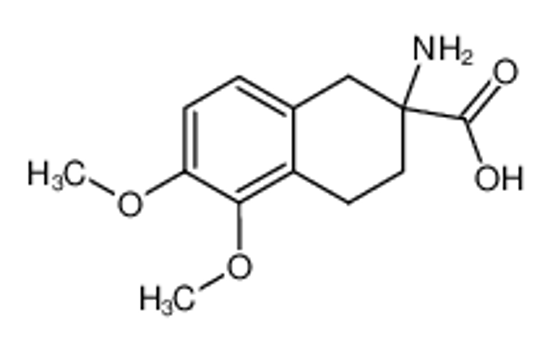 Picture of dl-2-Amino-5,6-dimethoxy-1,2,3,4-tetrahydronaphthalin-2-carbonsaeure