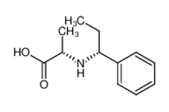 Picture of ((R)-1-phenylpropyl)-L-alanine