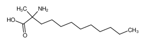 Imagem de (+/-)-2-Methyl-2-amino-dodecansaeure