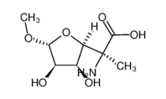 Picture of methyl (5S)-5-amino-5-C-carboxy-5,6-dideoxy-α-L-lyxo-hexofuranoside