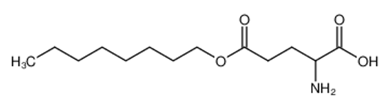 Picture of 2-Amino-glutaminsaeure-octylester