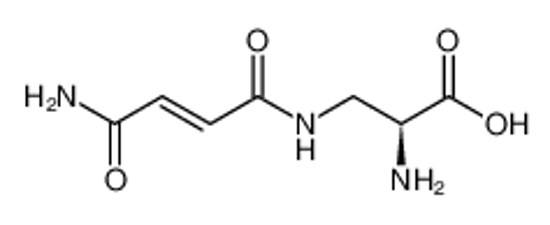 Picture of N3-fumaramoyl-(S)-2,3-diaminopropanoic acid