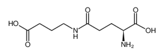 Imagem de 4-(L-γ-glutamylamino)butanoic acid