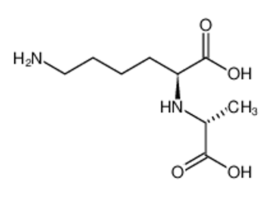 Изображение D-lysopine