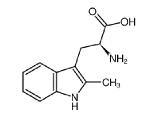 Imagem de 2-methyl-L-tryptophan