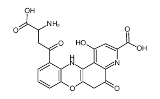 Picture of 5,12-dihydroxanthommatin