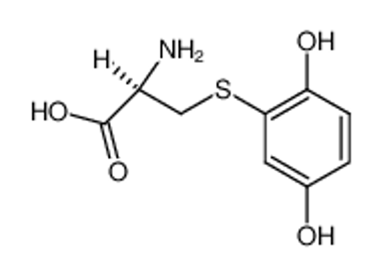 Imagem de (2R)-S-(2,5-dihydroxyphenyl)cysteine