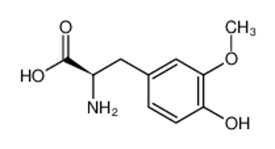 Imagem de (+)-(R)-3-methoxytyrosine