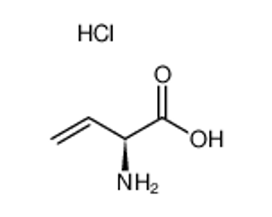 Picture of (S)-vinylglycine hydrochloride