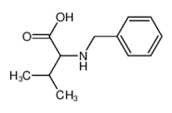 Picture of 2-N-benzylamino-3-methylbutyric acid