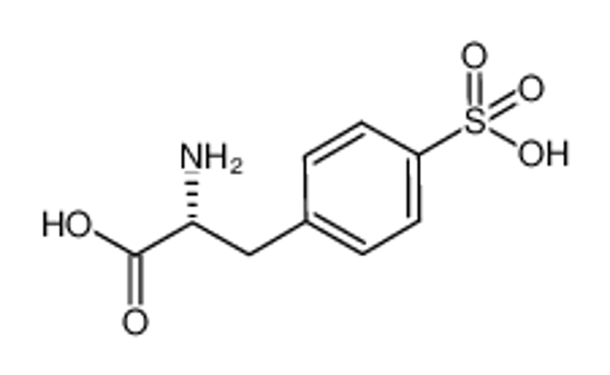 Imagem de D-4-sulfophenylalanine