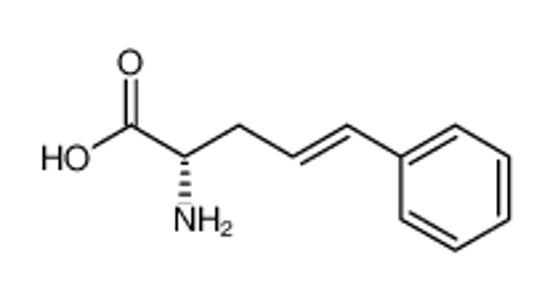Picture of (E,2S)-2-amino-5-phenyl-pent-4-enoic acid