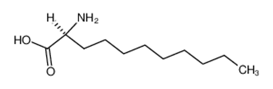 Picture of (S)-2-aminoundecanoic acid