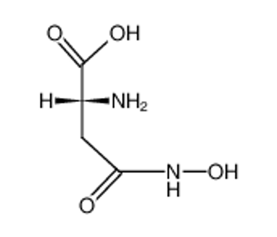 Picture of (R)-aspartic-β-hydroxamic acid